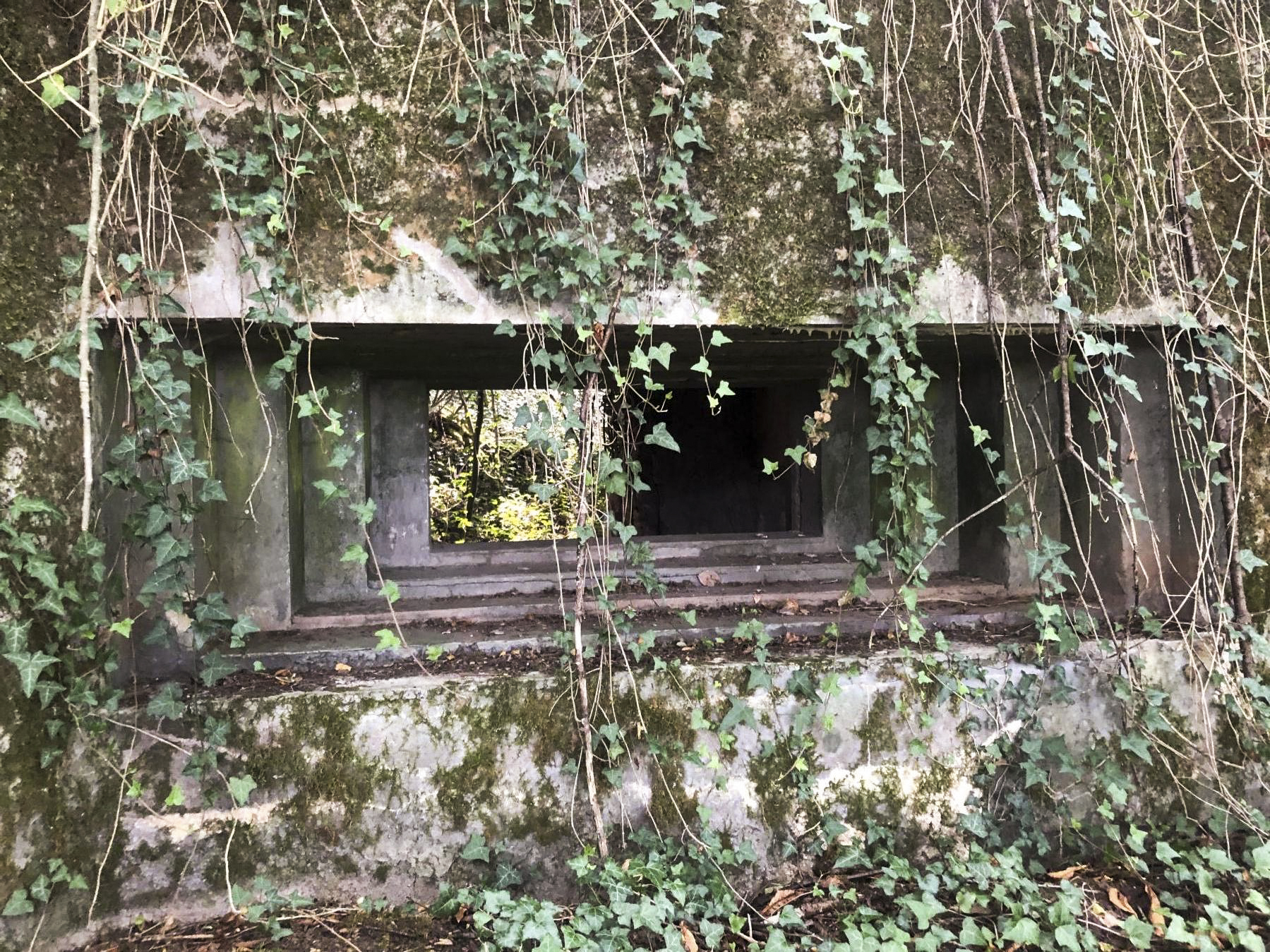 Ligne Maginot - CB114 - UBER DEM HUGEL - (Blockhaus pour canon) - 