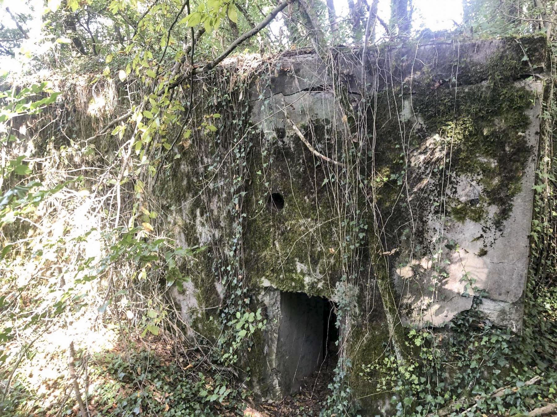 Ligne Maginot - CB114 - UBER DEM HUGEL - (Blockhaus pour canon) - Entrée du blockhaus