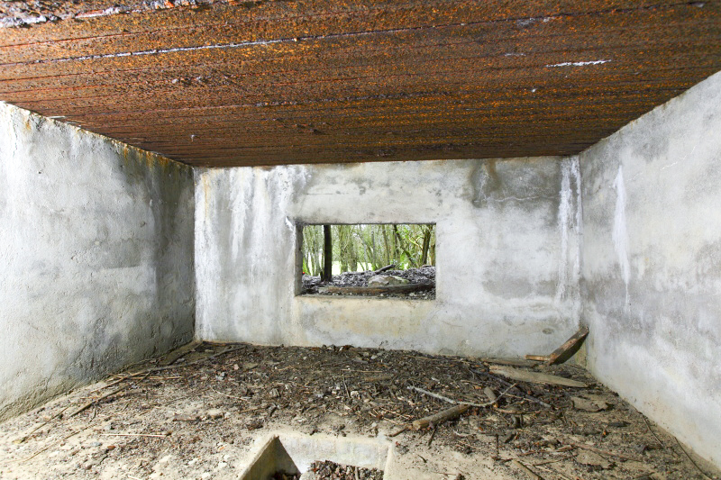 Ligne Maginot - CB132 - HIRTZWIESE - (Blockhaus pour canon) - 