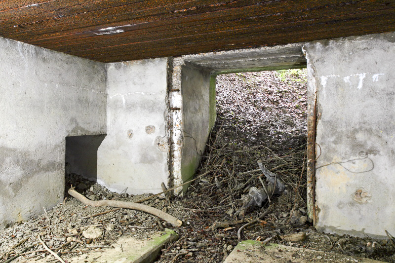 Ligne Maginot - CB132 - HIRTZWIESE - (Blockhaus pour canon) - 