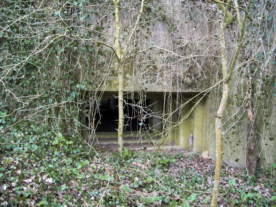 Ligne Maginot - CB133 - MEHWINKEL EST - (Blockhaus pour canon) - 