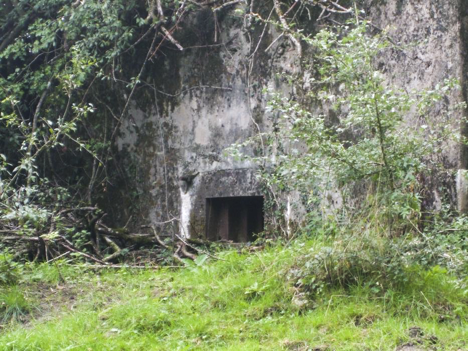 Ligne Maginot - CB139 - NONNENBERG NORD - (Blockhaus pour arme infanterie) - 