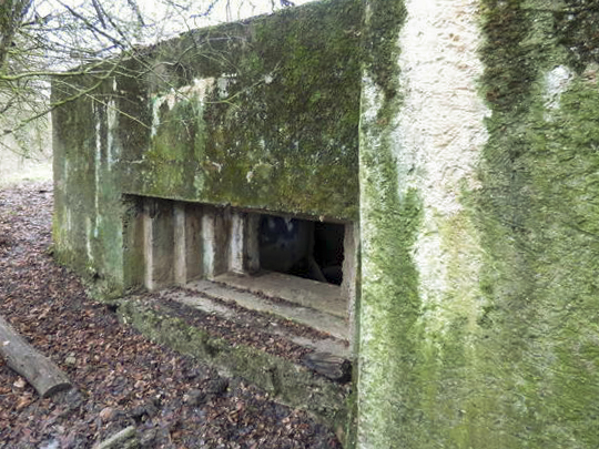 Ligne Maginot - CB144 - GOLLENBERG - (Blockhaus pour canon) -  - AALMA - www.lignemaginot.com