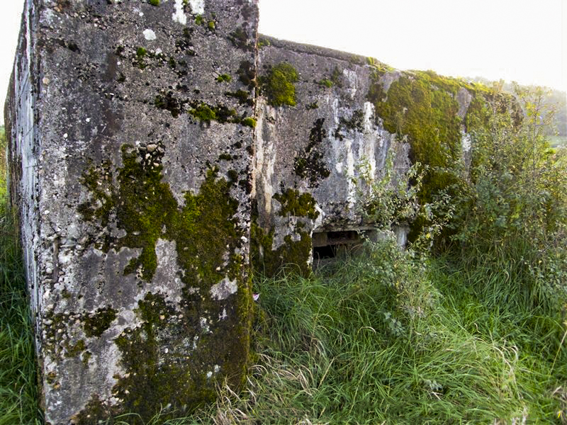 Ligne Maginot - CB156 - HOHDORN - (Blockhaus pour canon) - 