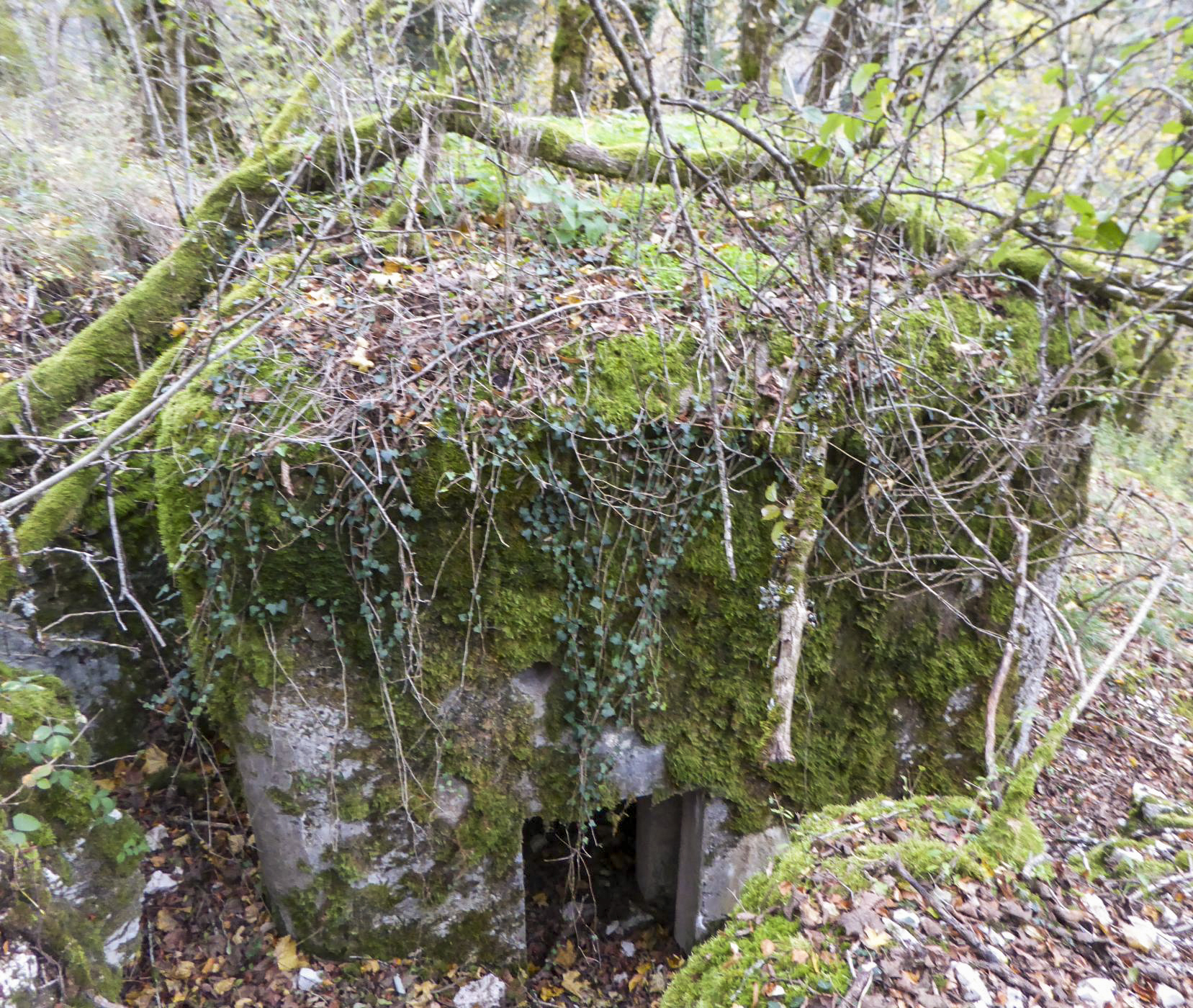 Ligne Maginot - CHARMAUVILLERS - (Blockhaus pour canon) -  - François VILLARS