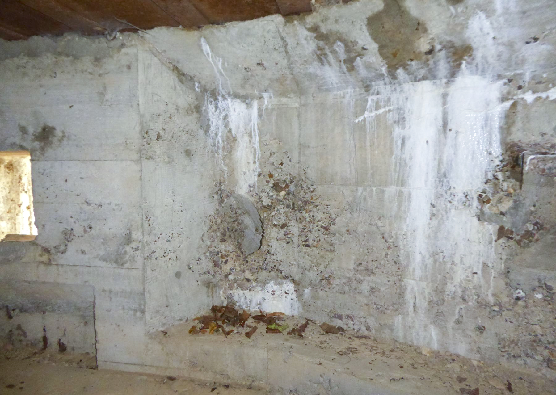 Ligne Maginot - CHARMAUVILLERS - (Blockhaus pour canon) - Chambre de tir - François VILLARS