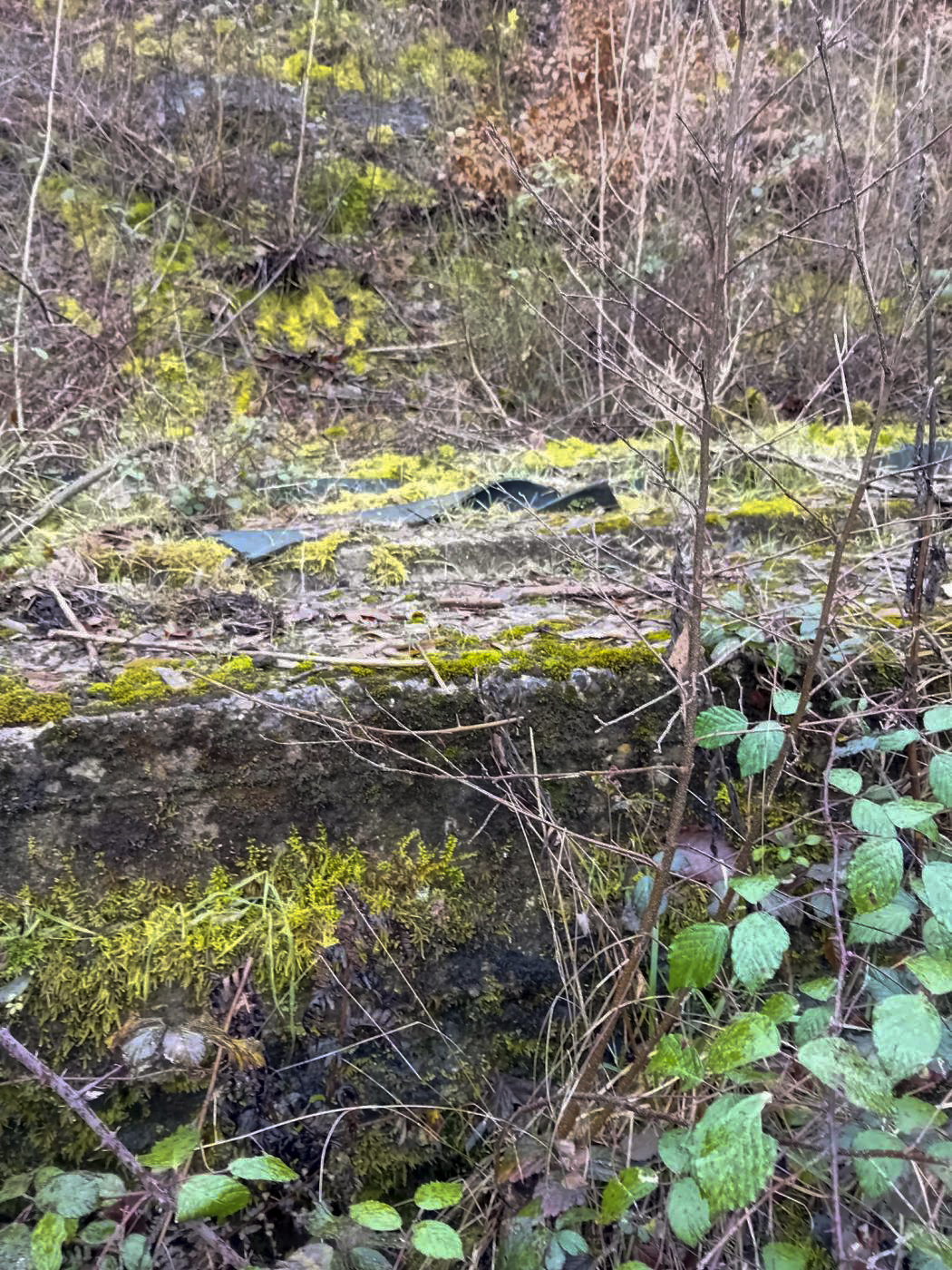 Ligne Maginot - FERME GRUENHOF - (Poste GRM - Maison Forte) -  - david Matloka
