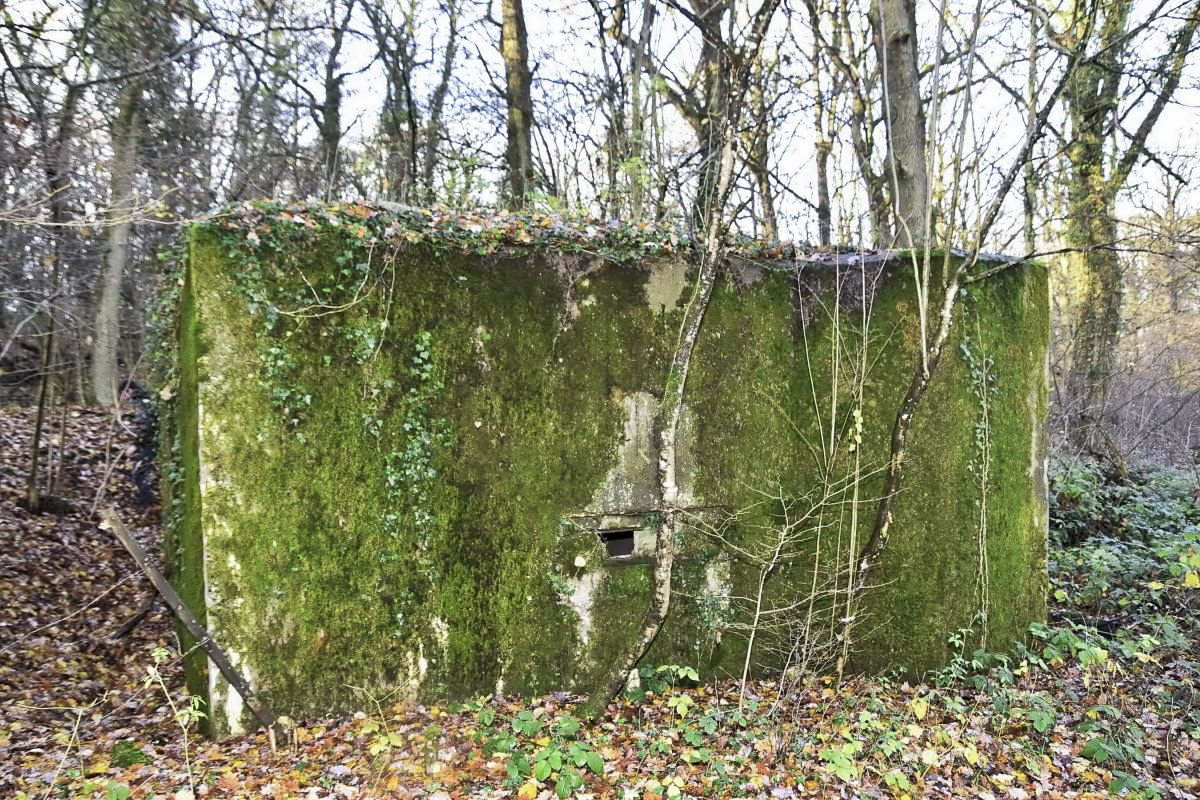 Ligne Maginot - CB173 - YELLE 02 - (Blockhaus pour canon) - Façade avant avec créneau de tir