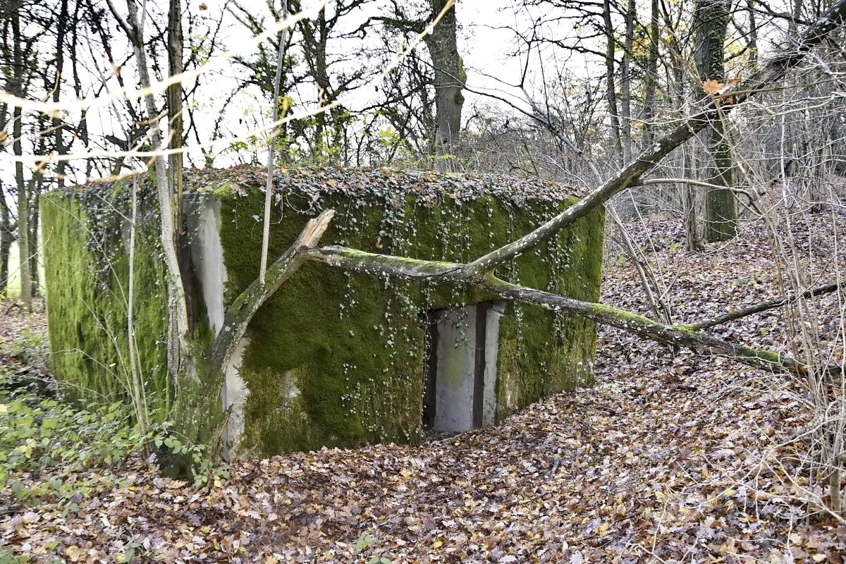 Ligne Maginot - CB173 - YELLE 02 - (Blockhaus pour canon) - Entrée du matériel et des munitions - D.Froehly