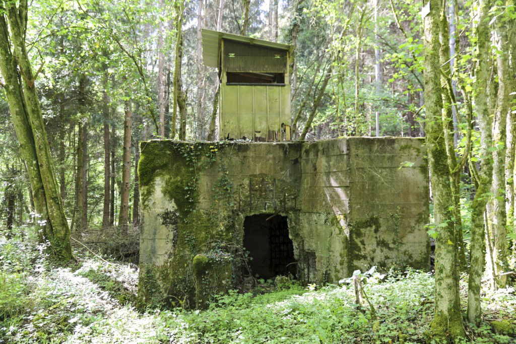 Ligne Maginot - CB423 - HART MASSELTERWIESE - (Blockhaus pour arme infanterie) -  - Alain Perouffe