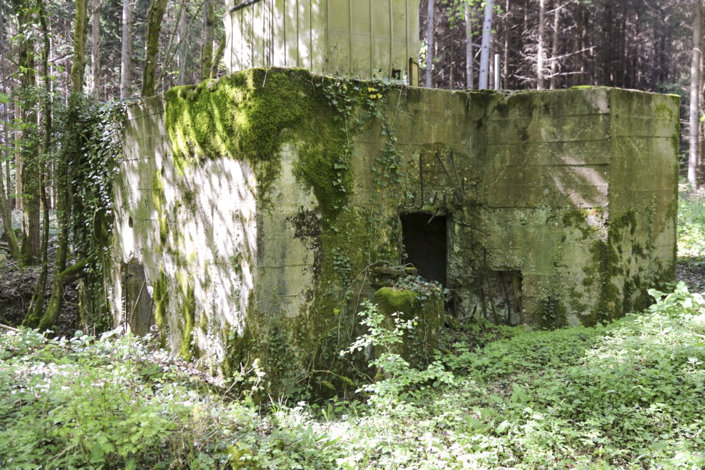 Ligne Maginot - CB423 - HART MASSELTERWIESE - (Blockhaus pour arme infanterie) - 