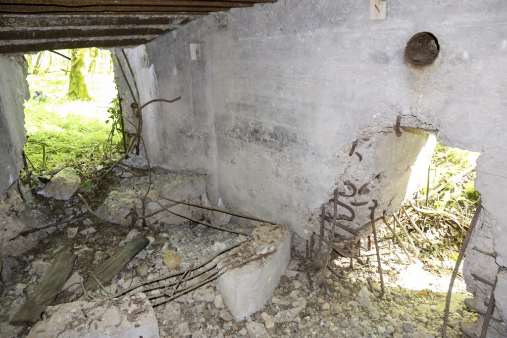 Ligne Maginot - CB423 - HART MASSELTERWIESE - (Blockhaus pour arme infanterie) - 
