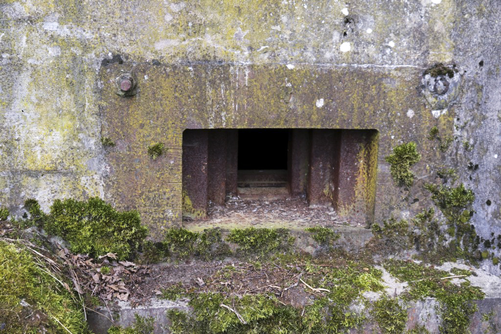 Ligne Maginot - CB432 - KLOSTERBUSCH 2 - (Blockhaus pour arme infanterie) -  - Alain Perouffe