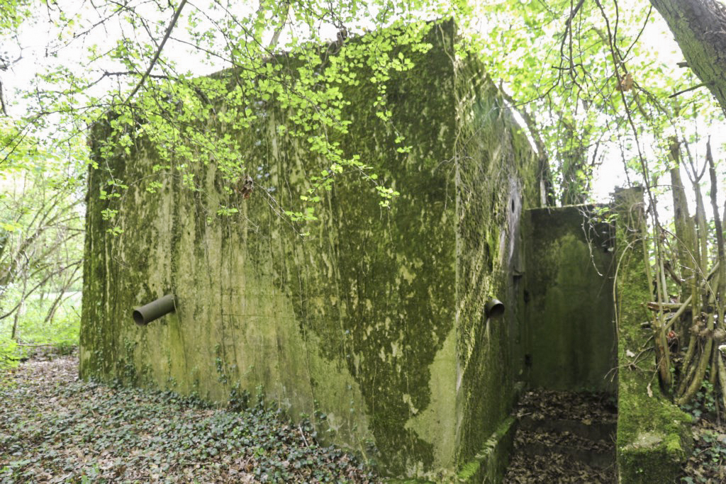 Ligne Maginot - CB432 - KLOSTERBUSCH 2 - (Blockhaus pour arme infanterie) - 