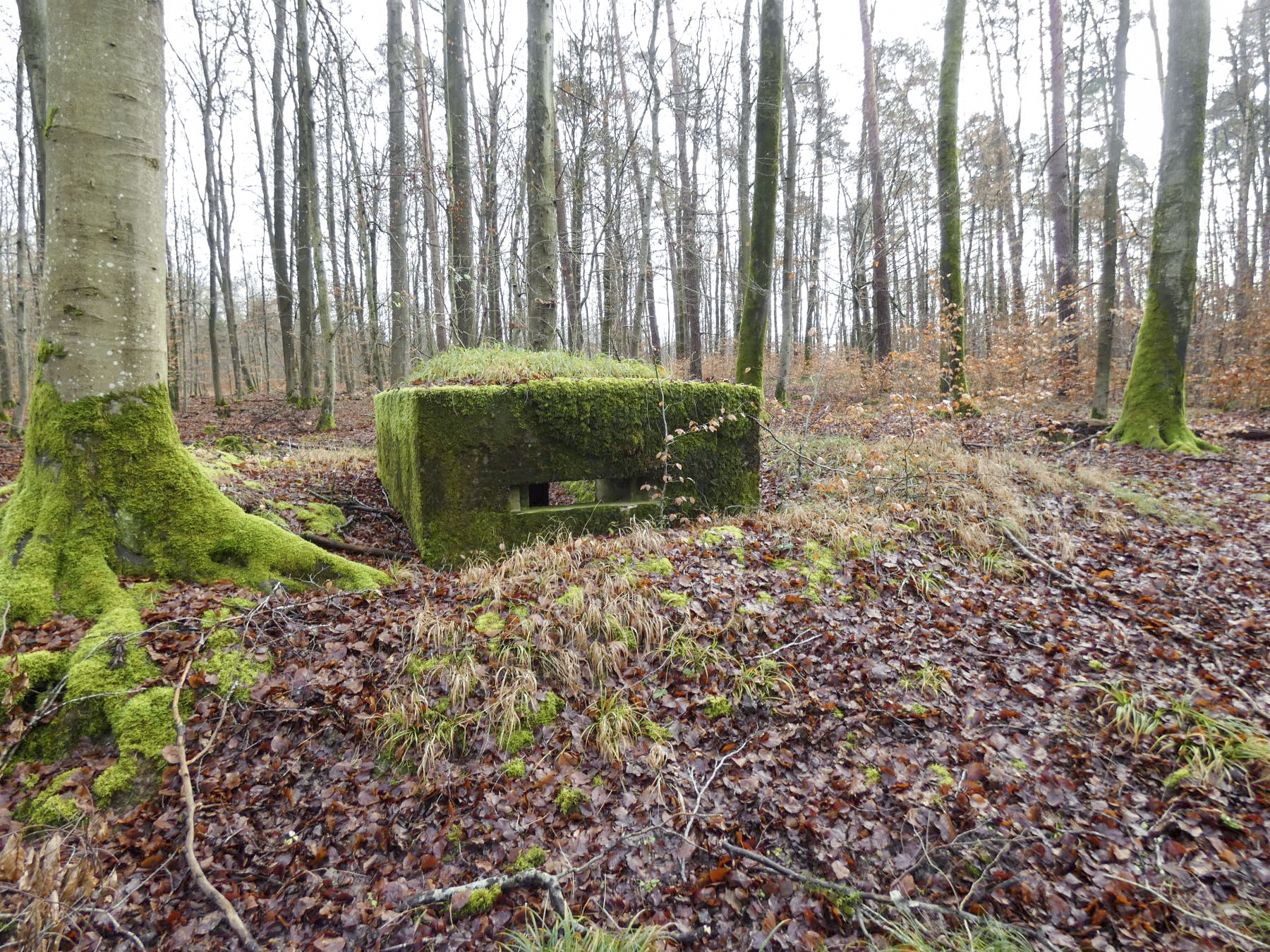 Ligne Maginot - HOLZSCHLAG 4 - (Blockhaus pour arme infanterie) - La façade de tir. - STENGER Mathieu