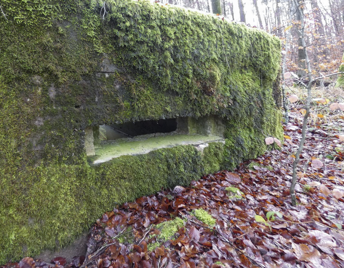 Ligne Maginot - HOLZSCHLAG 4 - (Blockhaus pour arme infanterie) - Le créneau pour FM. - STENGER Mathieu