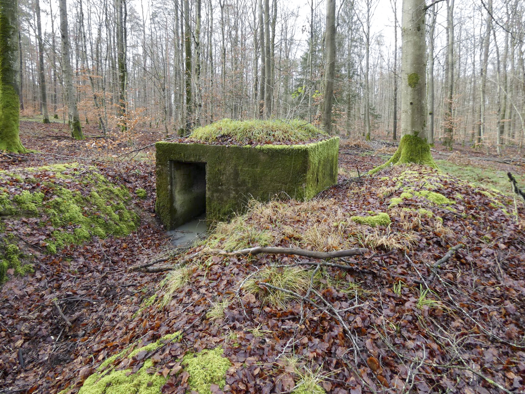 Ligne Maginot - HOLZSCHLAG 4 - (Blockhaus pour arme infanterie) - La vue de l'arrière et l'entrée du blockhaus. - STENGER Mathieu