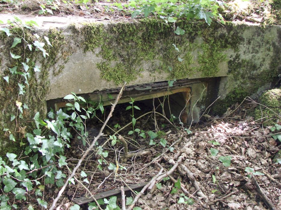 Ligne Maginot - CC1 - (Cuve pour canon) - 