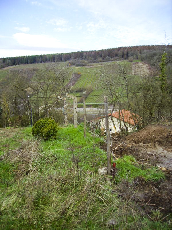 Ligne Maginot - CONTZ LES BAINS 1 (POSTE AVANCé GRM) - (Poste GRM - Maison Forte) - Reste de la clôture militaire