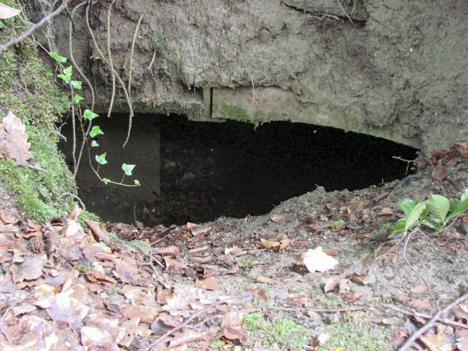 Ligne Maginot - HART - (Abri) - L'autre entrée de l'abri