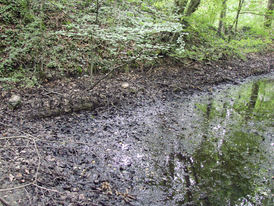Ligne Maginot - Fondations - Fondations - Schnoupf