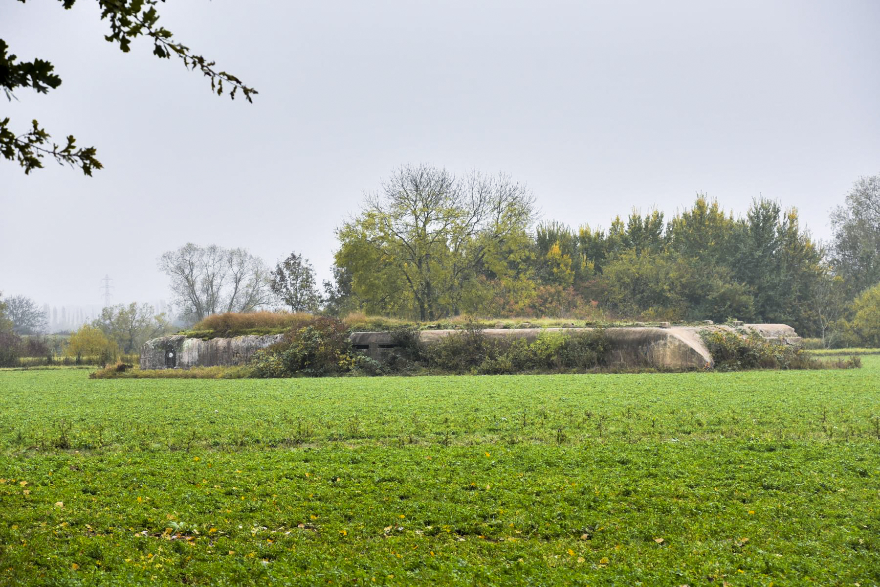Ligne Maginot - KIESELBACH 1 - (Abri) - 