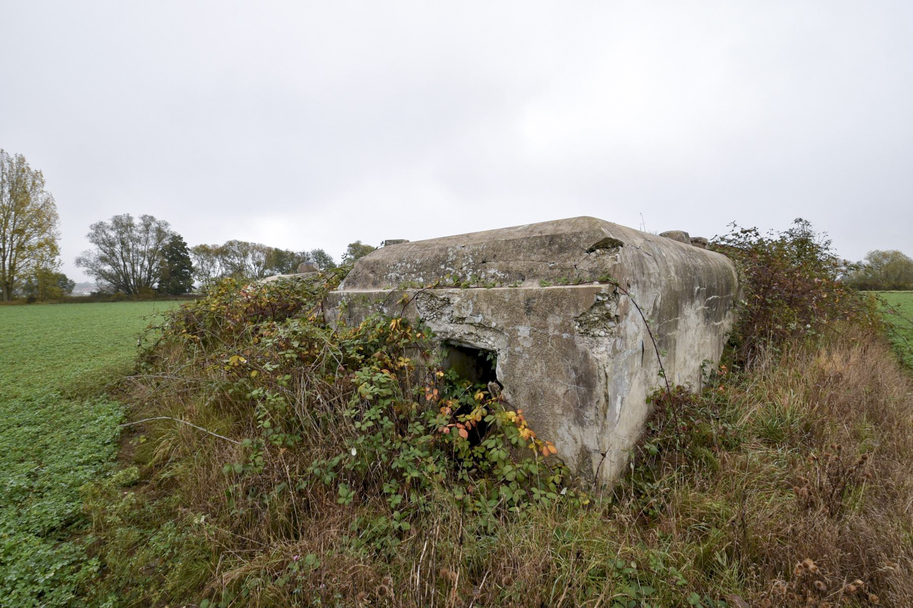 Ligne Maginot - KIESELBACH 1 - (Abri) - 