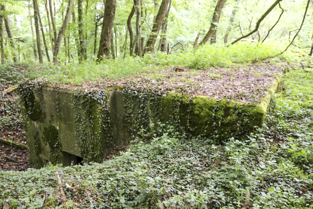 Ligne Maginot - KLOSTERBUSCH 4  Abri - Entrée nord