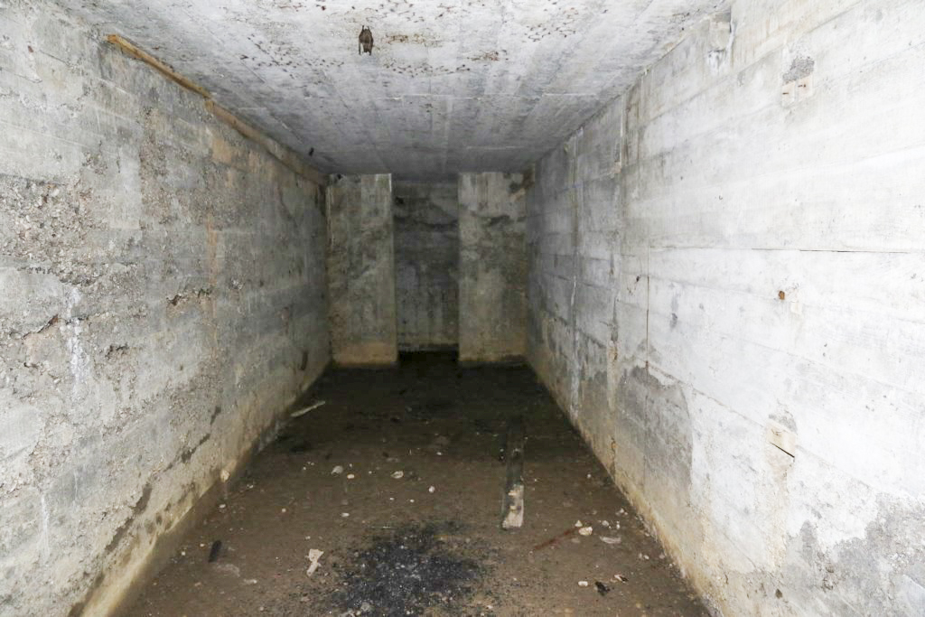 Ligne Maginot - KLOSTERBUSCH 4  Abri - La salle unique