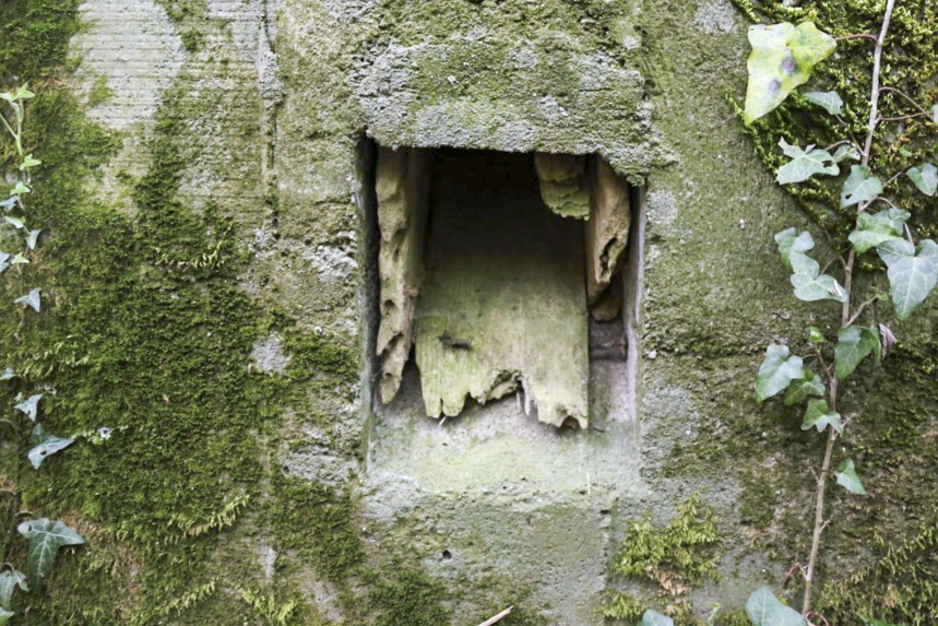 Ligne Maginot - KLOSTERBUSCH 4  Abri - Les éléments de défense rapprochée