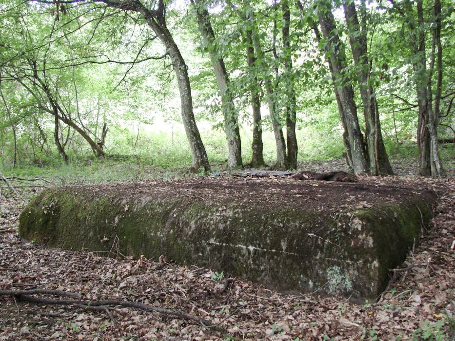 Ligne Maginot - 14M - (Chambre de coupure) - 