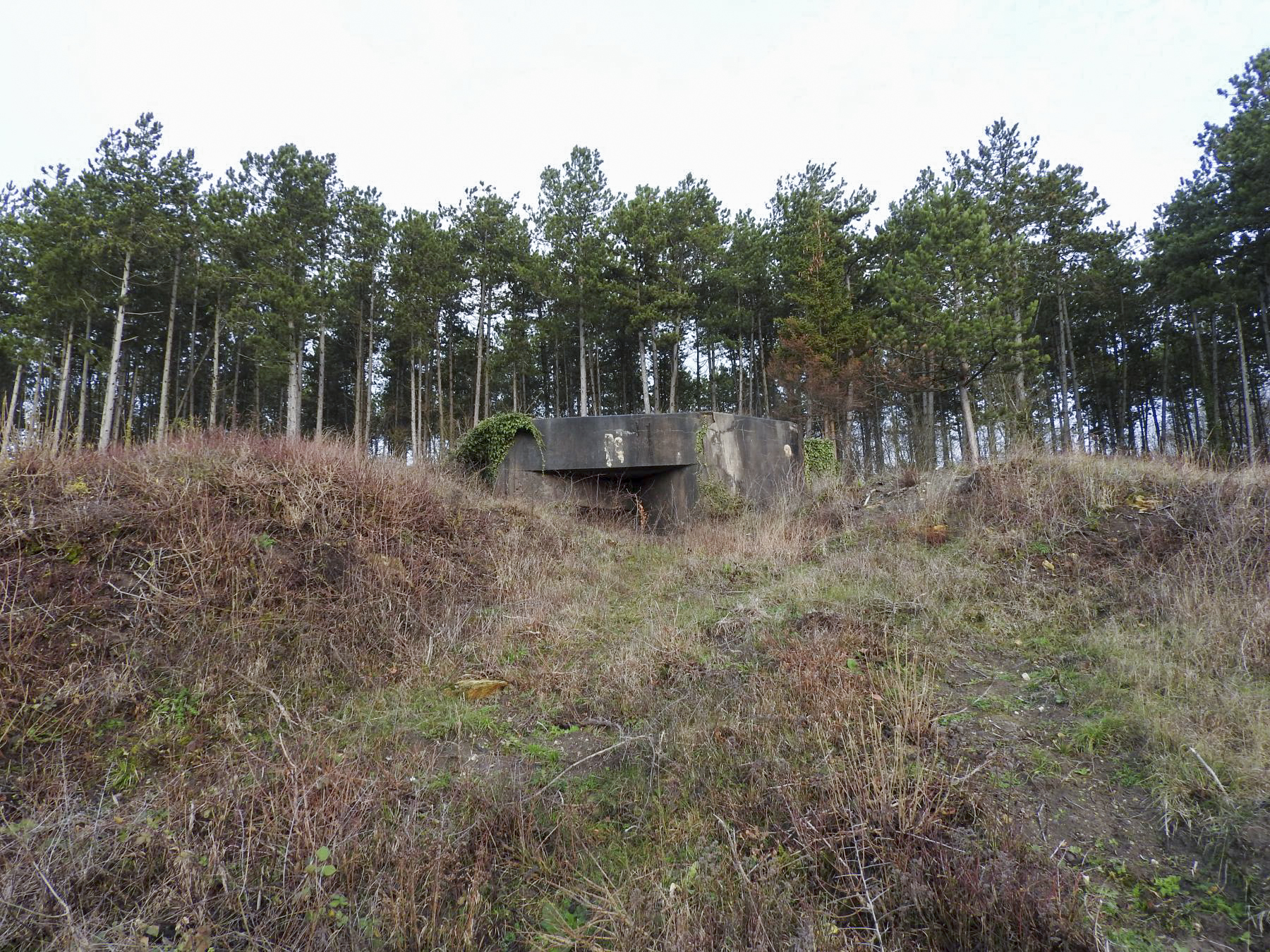 Ligne Maginot - BB10 - (Blockhaus pour canon) - Une vue d'ensemble du blockhaus. - STENGER Mathieu