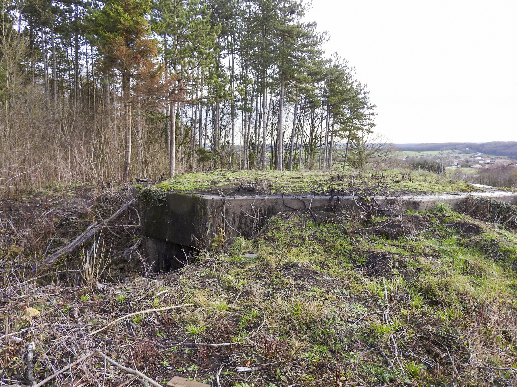 Ligne Maginot - BB10 - (Blockhaus pour canon) - La façade arrière avec l'entrée. - STENGER Mathieu
