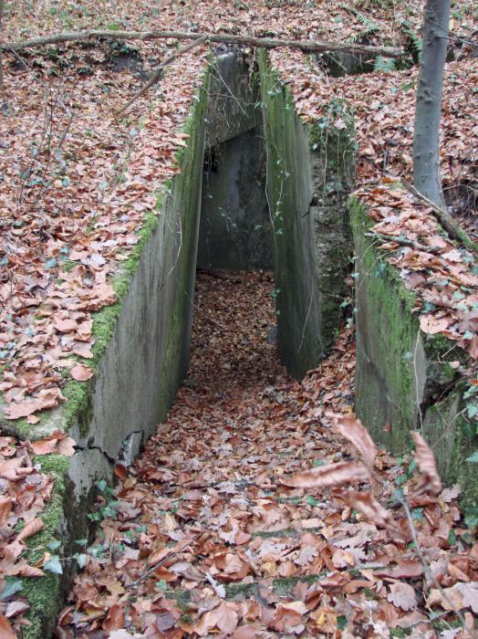 Ligne Maginot - BB10-B - LA HOUVE - (Central téléphonique d'observation) - L'escalier d’accès