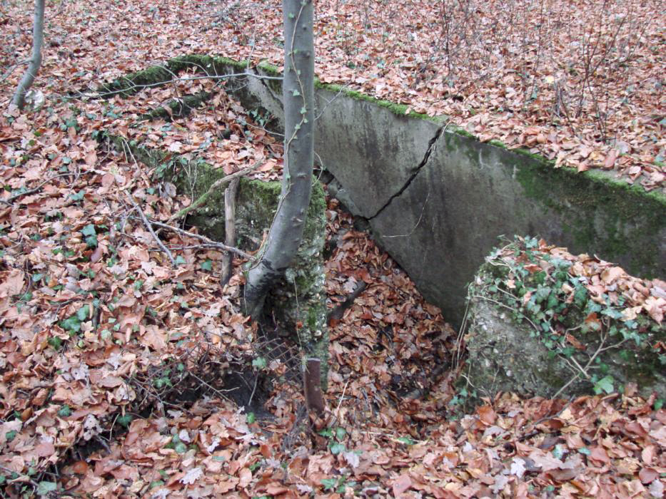 Ligne Maginot - BB10-B - LA HOUVE - (Central téléphonique d'observation) - L'escalier d'accès
La brèche dans le mur de soutènement sert d'entrée pour la tranchée qui mène jusqu'aux guérites d'observation.