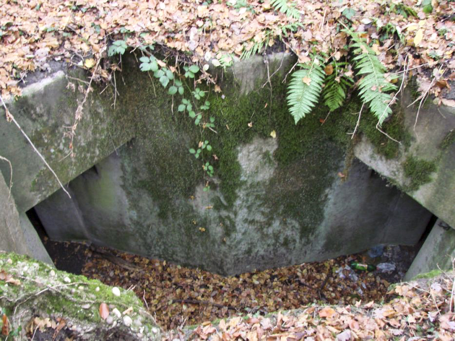 Ligne Maginot - BB10-B - LA HOUVE - (Central téléphonique d'observation) - Les deux entrées