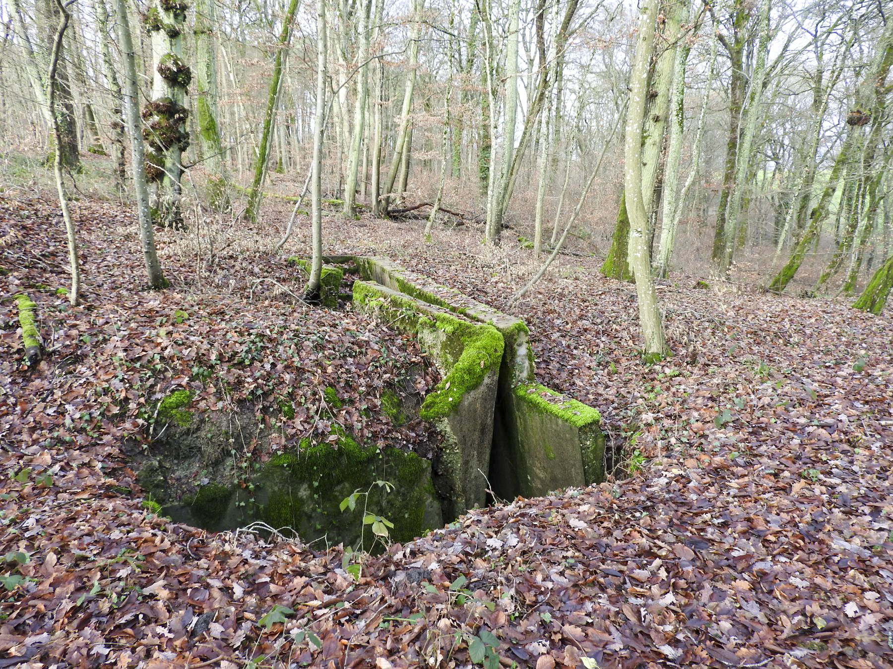 Ligne Maginot - BB10-B - LA HOUVE - (Central téléphonique d'observation) - Le mur latéral s'est effondré encore plus, il repose maintenant en équilibre sur le mur en face.
2022 - STENGER Mathieu