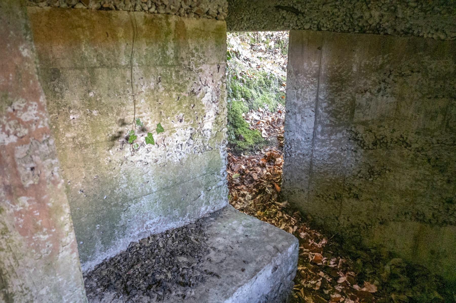 Ligne Maginot - BB40 - (Blockhaus pour arme infanterie) -  - Michel Teiten