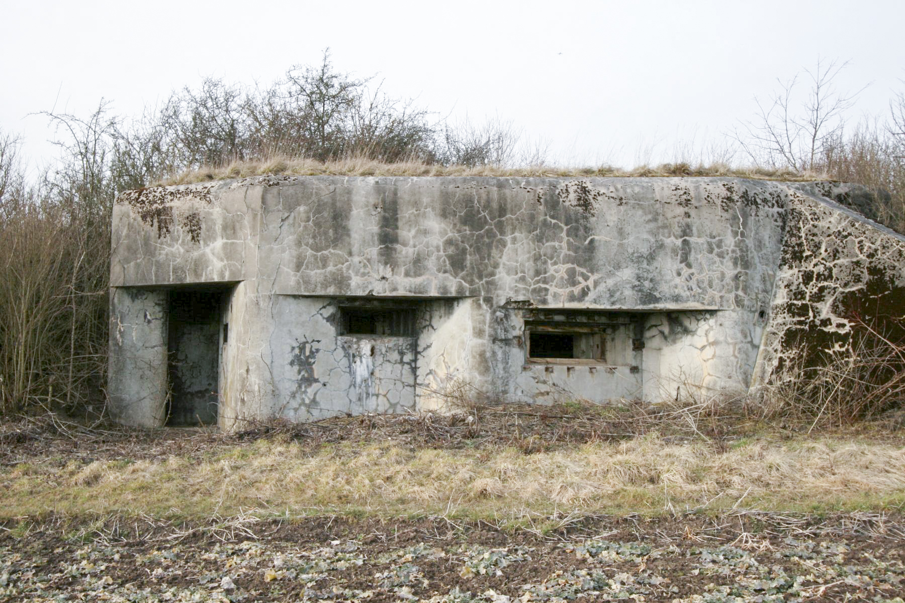 Ligne Maginot - BB41 - KIRCHENBERG - (Blockhaus pour canon) -  - Alain Perouffe