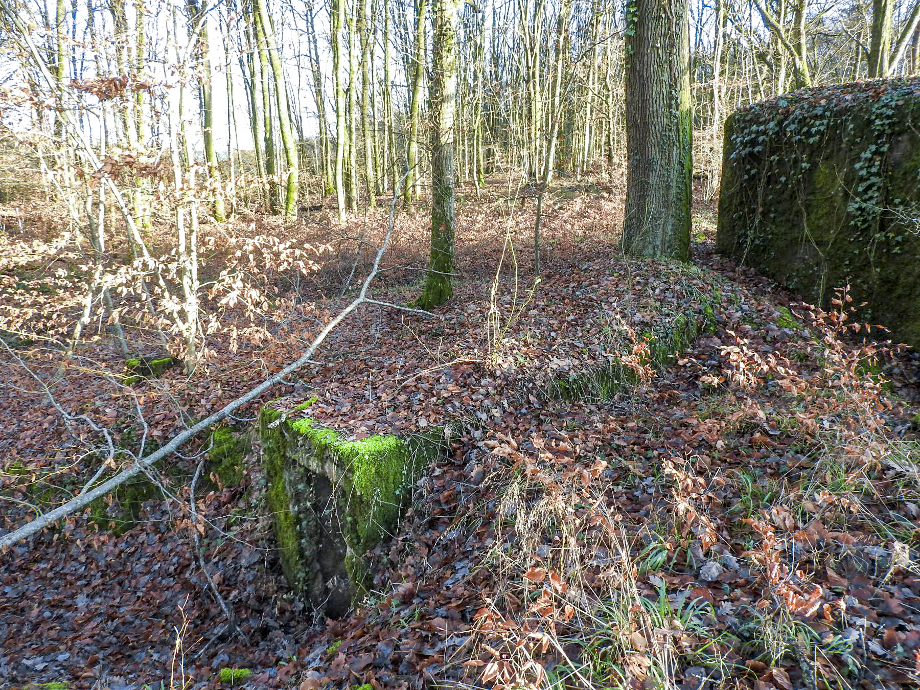 Ligne Maginot - BB43-F - (Blockhaus pour arme infanterie) - Le blockhaus est situé juste en face de l'entrée du blockhaus Bb354. - STENGER Mathieu