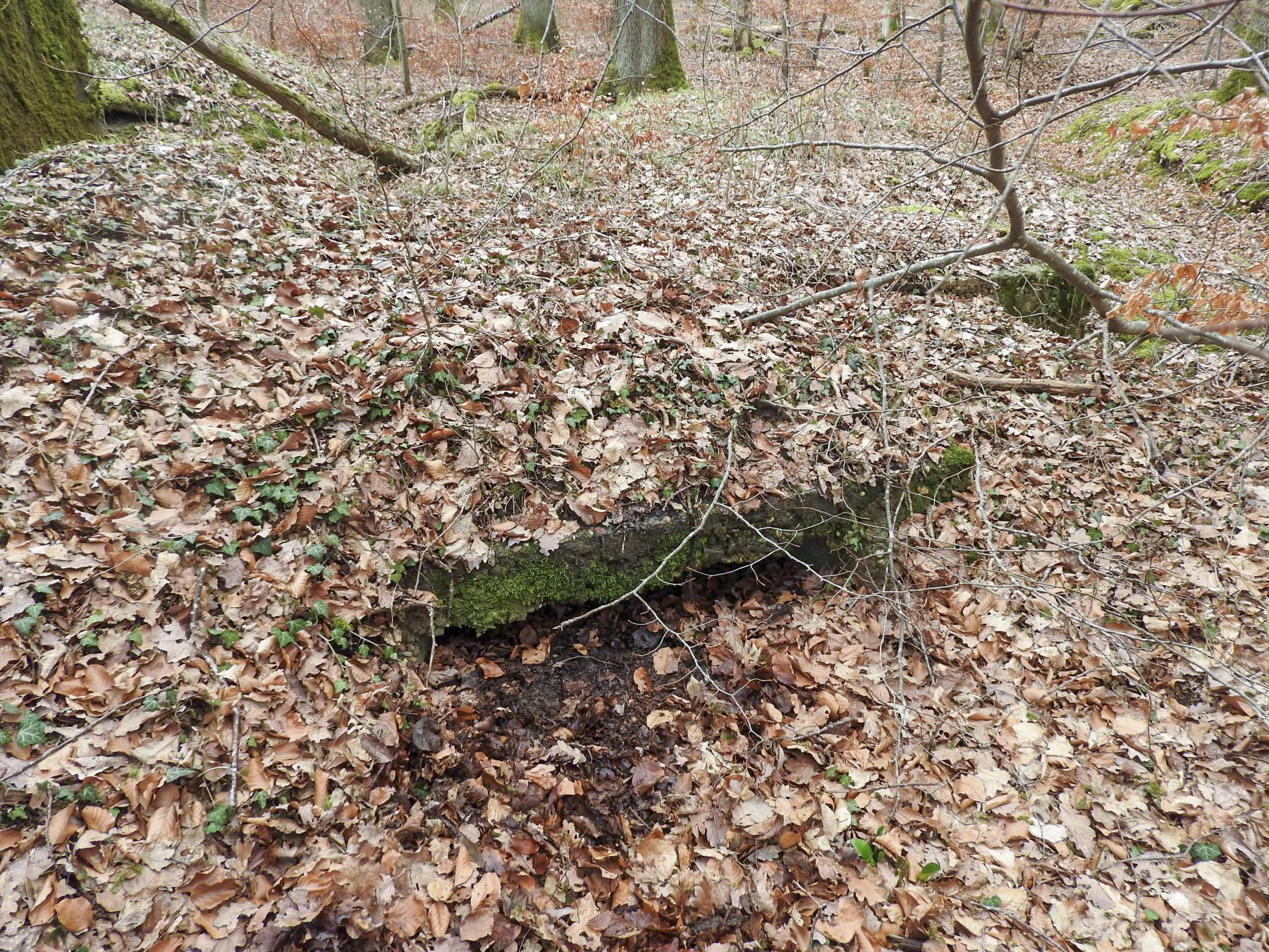 Ligne Maginot - BB43-F - (Blockhaus pour arme infanterie) - L'unique créneaux pour FM vers l'est. - STENGER Mathieu