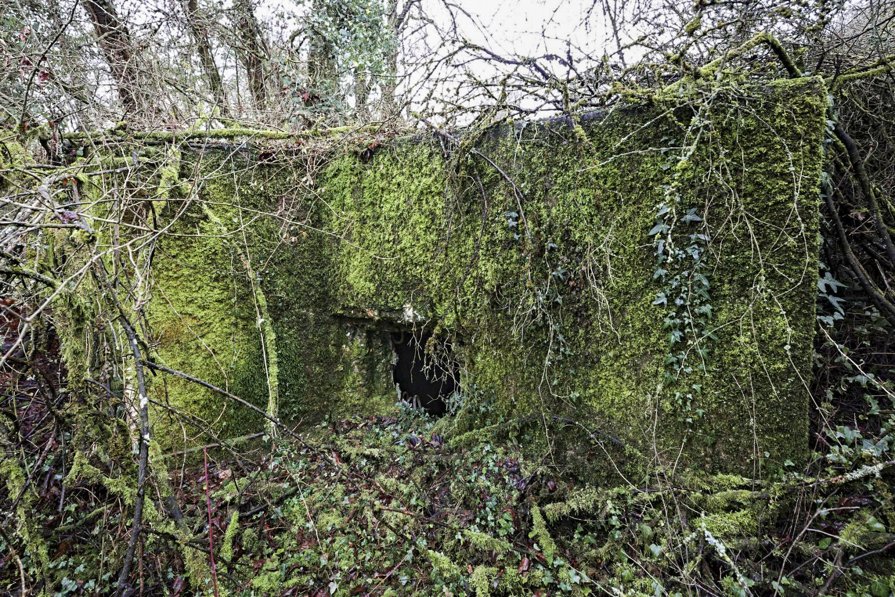 Ligne Maginot - BB303 - (Blockhaus pour arme infanterie) -  - Thierry Caland