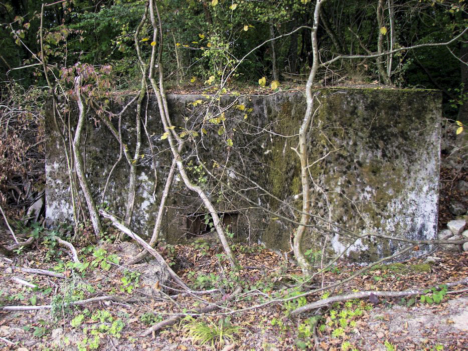 Ligne Maginot - BB309 - WELSCHENBERG - (Blockhaus pour arme infanterie) - Vue d'ensemble - Schnoupf