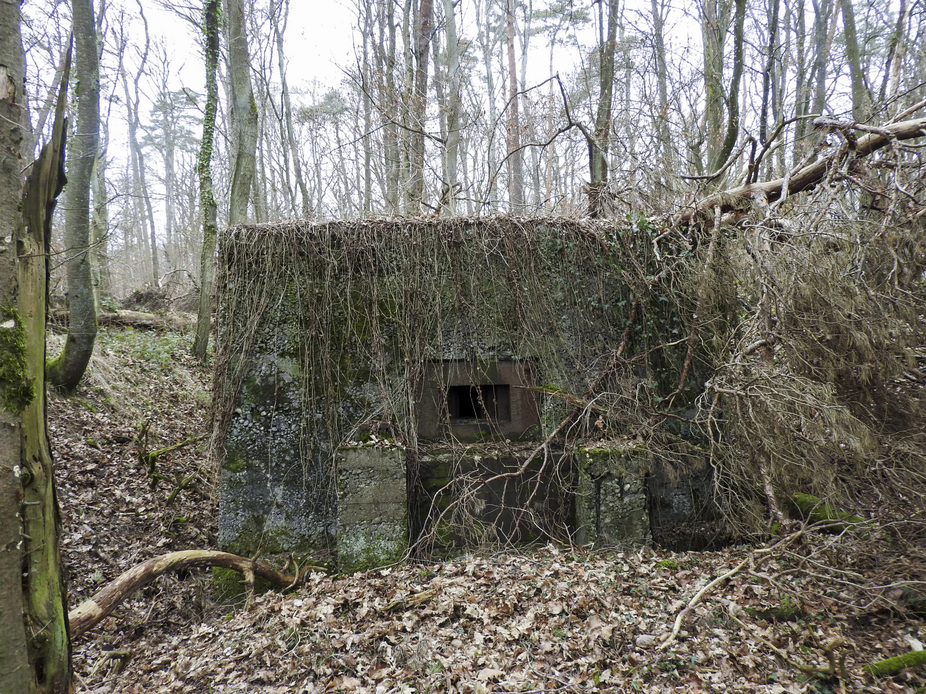 Ligne Maginot - BB310 - (Blockhaus pour arme infanterie) - La façade de tir. - STENGER Mathieu