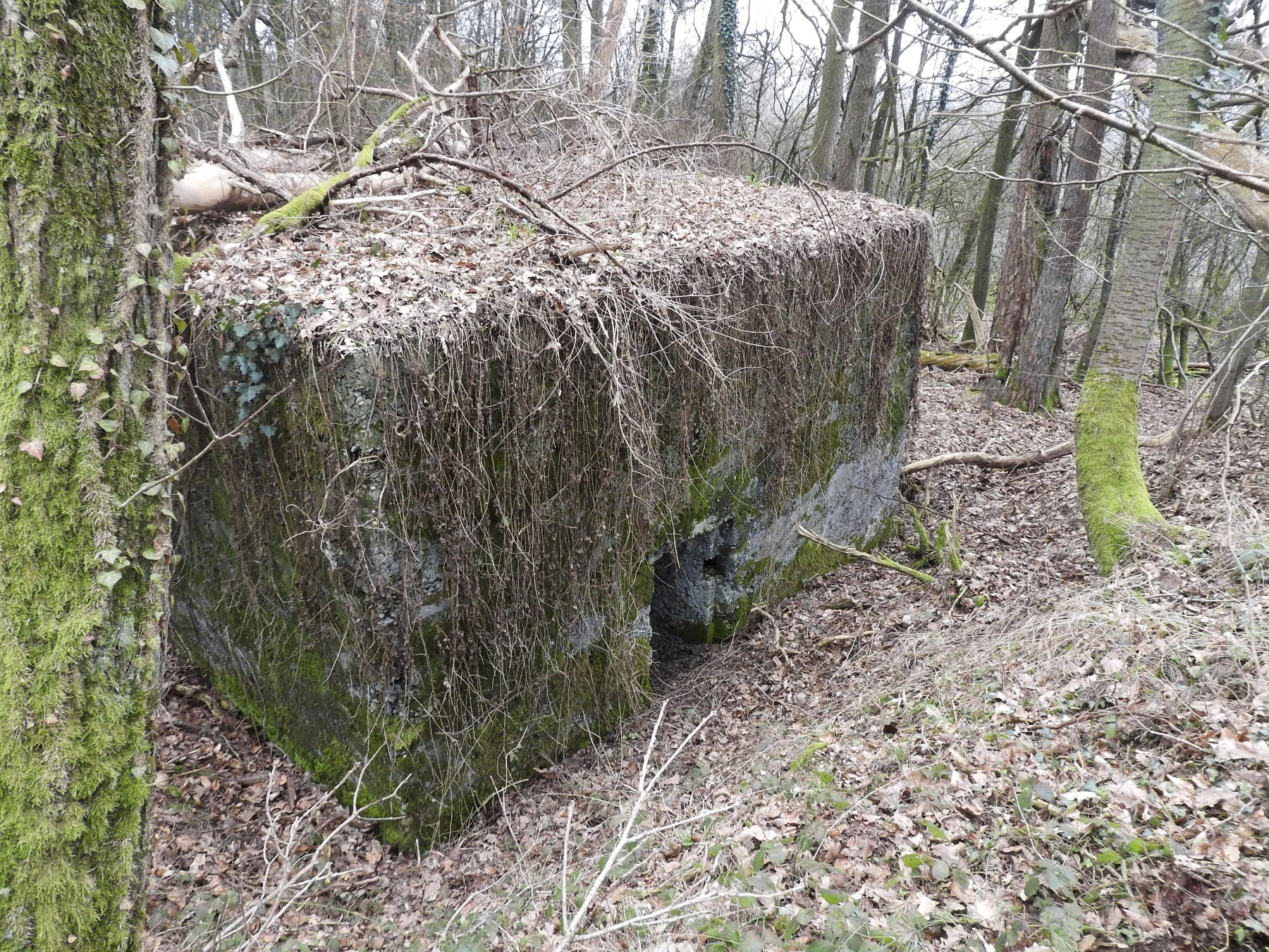 Ligne Maginot - BB310 - (Blockhaus pour arme infanterie) - L'entrée du blockhaus. - STENGER Mathieu