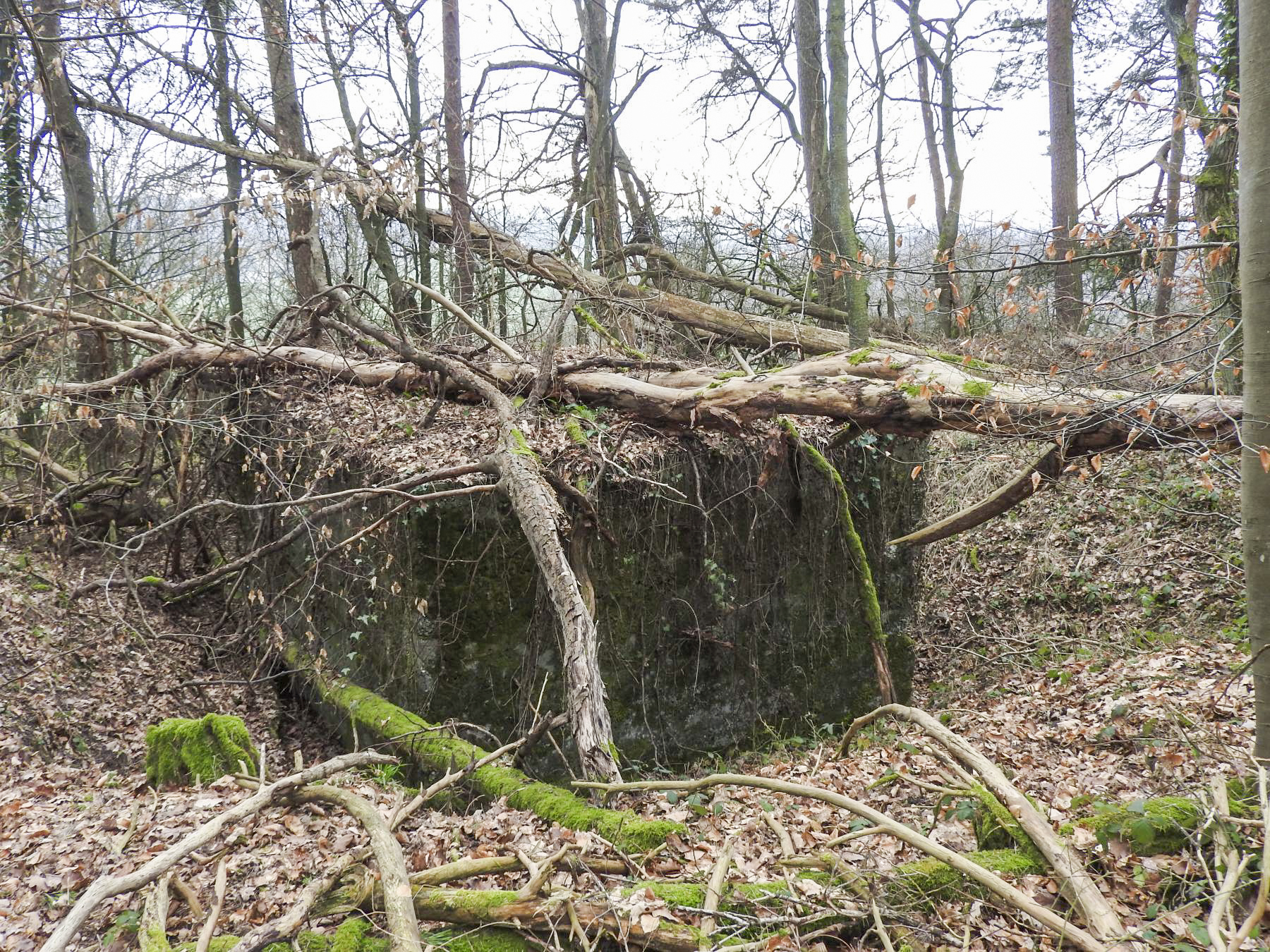 Ligne Maginot - BB310 - (Blockhaus pour arme infanterie) - La façade arrière du blockhaus.
 - STENGER Mathieu