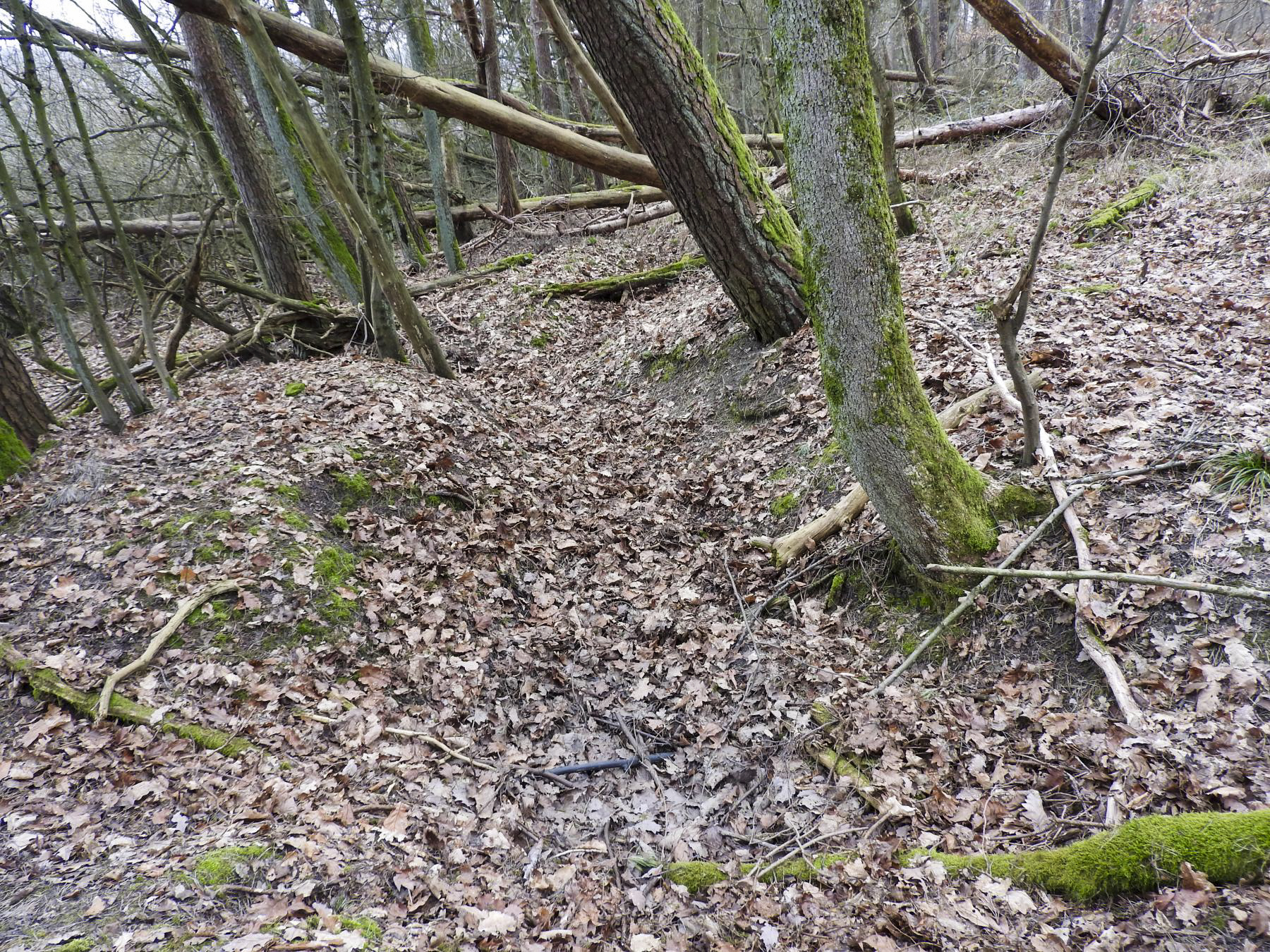 Ligne Maginot - BB310 - (Blockhaus pour arme infanterie) - Le réseau des tranchées.
 - STENGER Mathieu