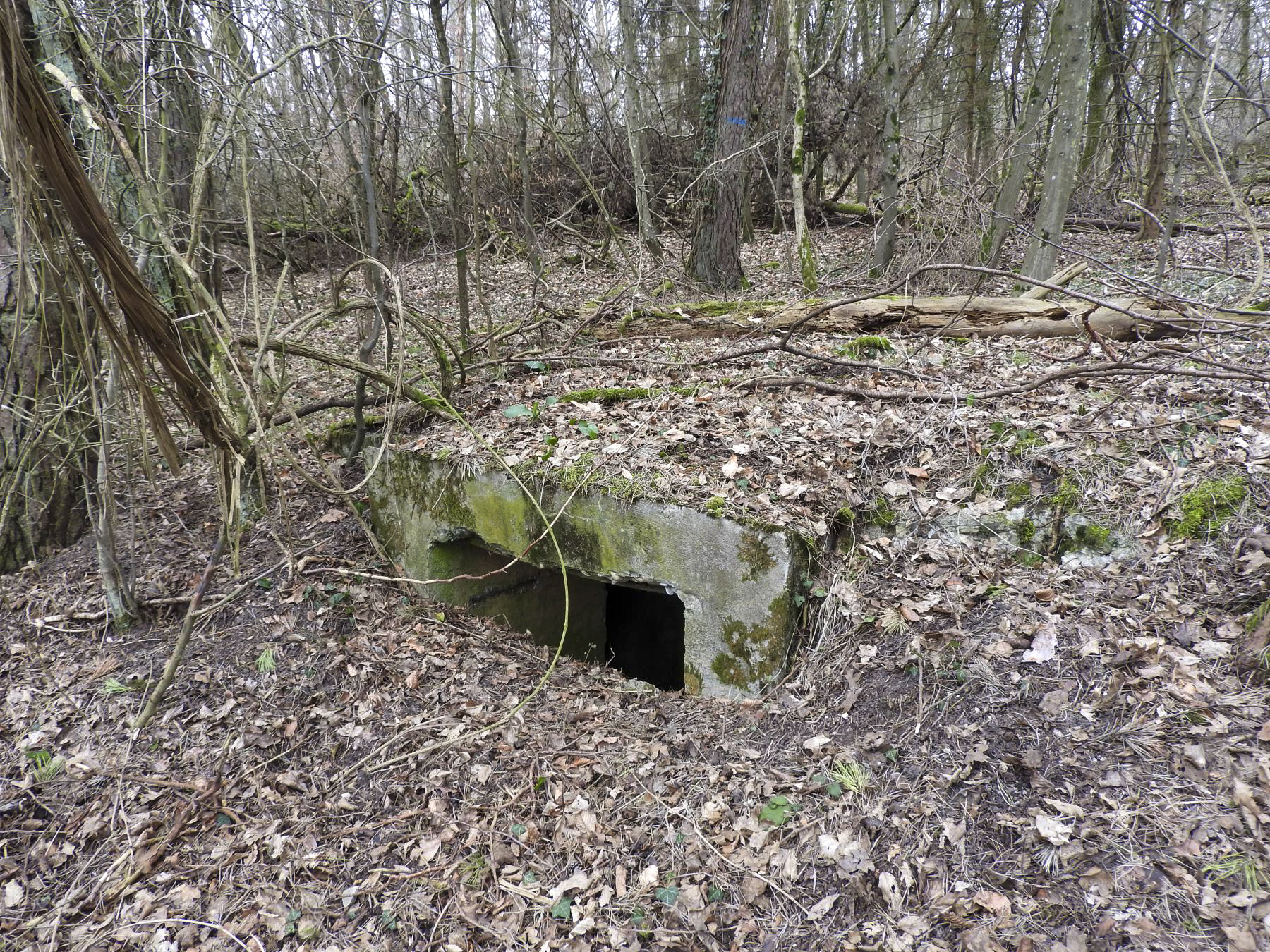 Ligne Maginot - WELSCHENBERG OUEST 2 - (Blockhaus pour arme infanterie) - Une des ouvertures de tir. - STENGER Mathieu