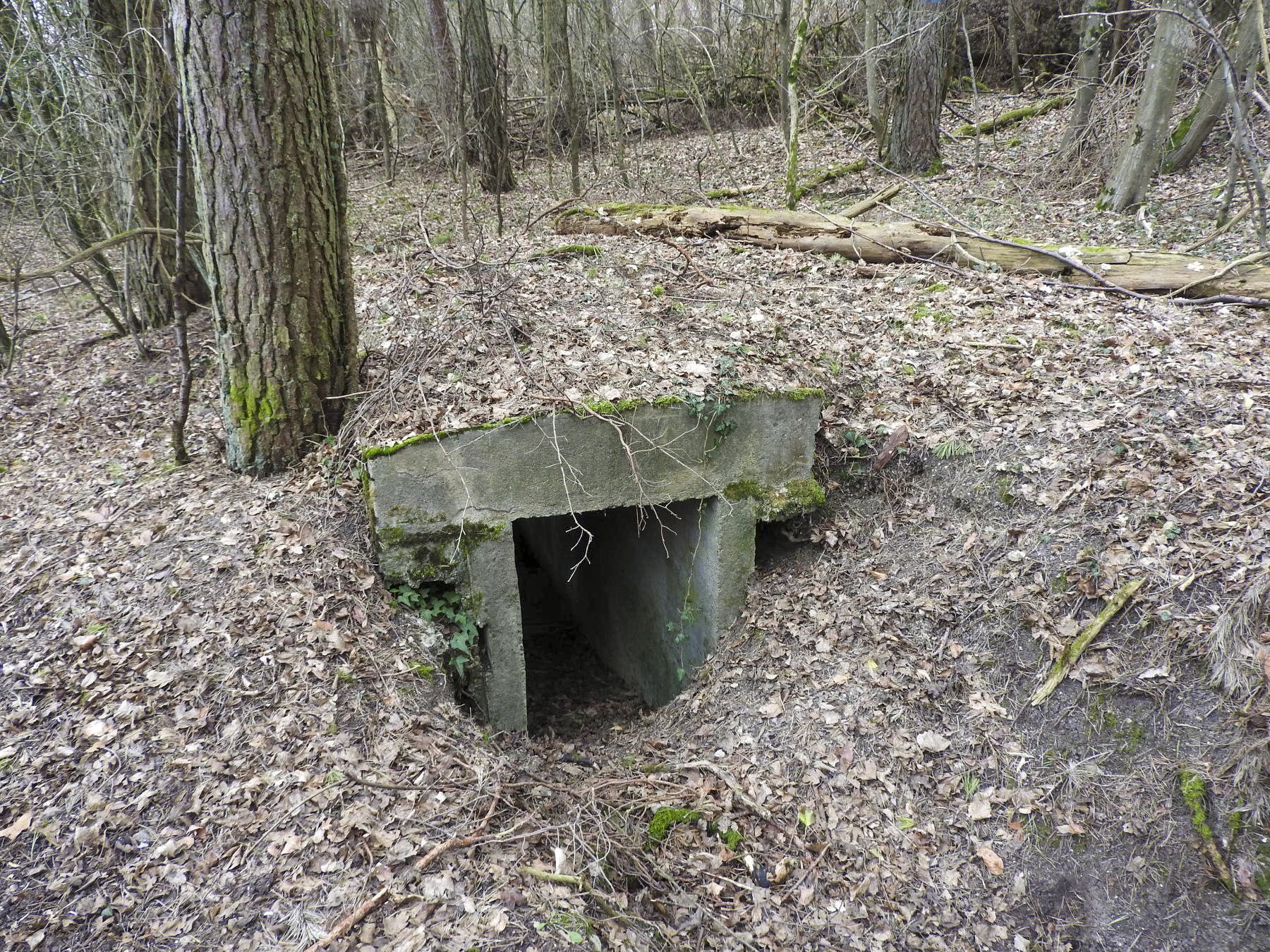 Ligne Maginot - WELSCHENBERG OUEST 2 - (Blockhaus pour arme infanterie) - L'entrée du blockhaus. - STENGER Mathieu