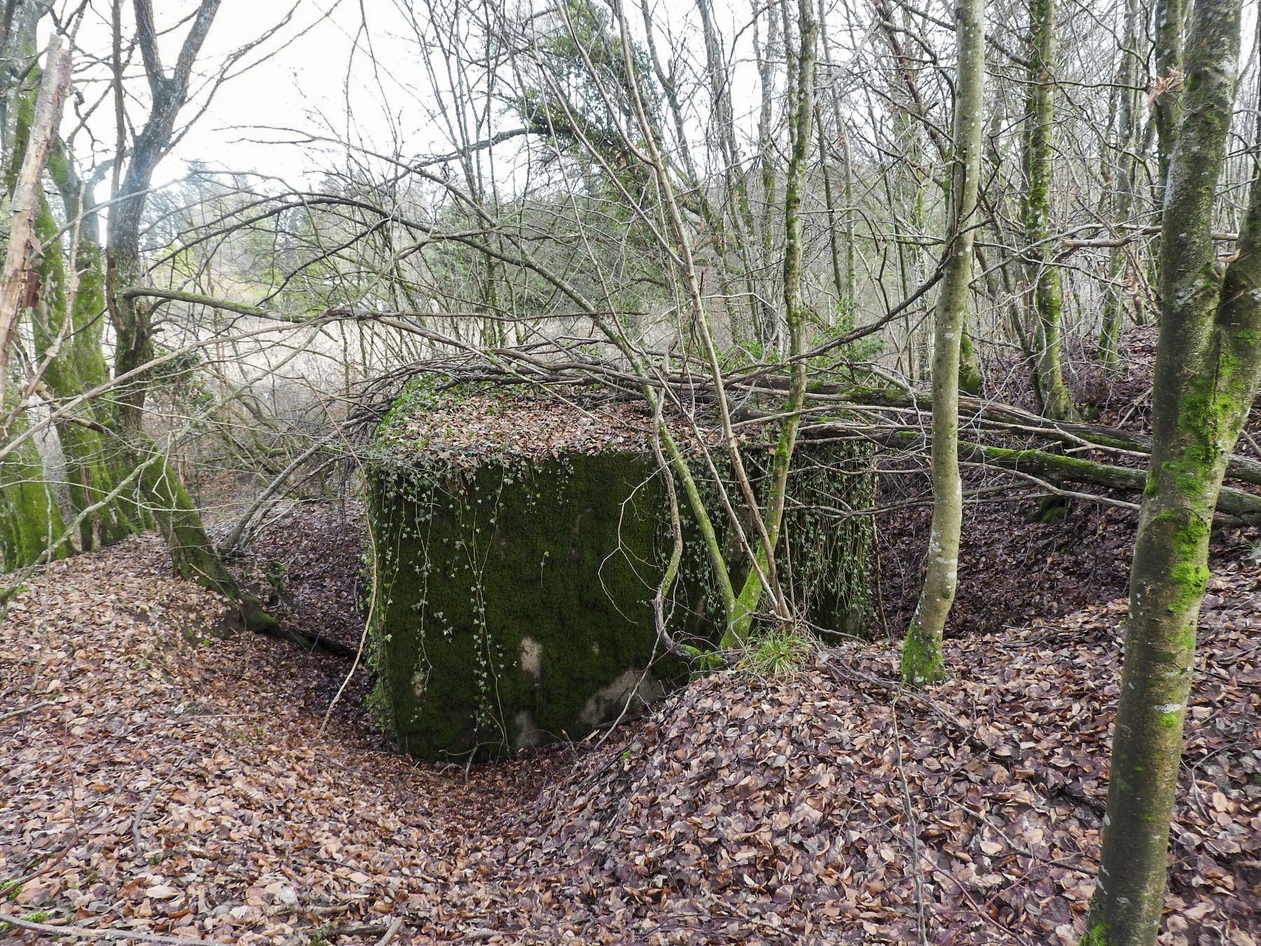 Ligne Maginot - BB312 - (Blockhaus pour arme infanterie) - La façade arrière. - STENGER Mathieu